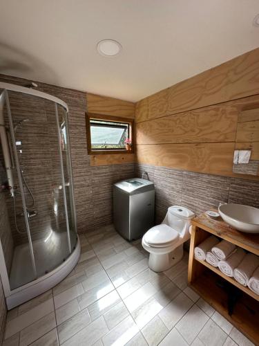 卡斯特鲁Cabañas Terra Palafito的带淋浴、卫生间和盥洗盆的浴室