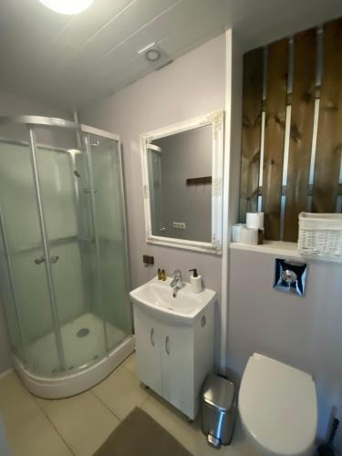 Vatnsholt瓦特舒尔特旅馆的带淋浴、盥洗盆和卫生间的浴室