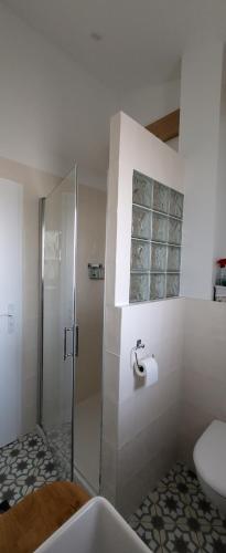 比亚里茨Biarritz appartement 2 adultes, 2 enfants à proximité immédiate des plages et des commerces的带淋浴、卫生间和盥洗盆的浴室