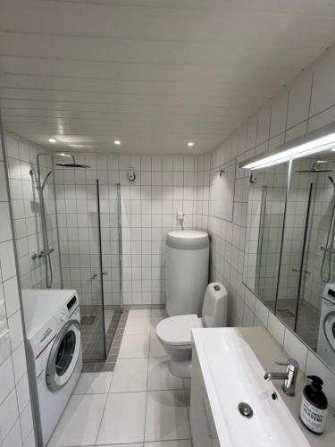 SennesvikSennesvik Apartments Lofoten的浴室配有卫生间水槽和洗衣机。