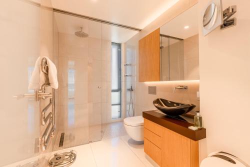 雷克雅未克黑珍珠公寓酒店的一间带水槽、卫生间和淋浴的浴室
