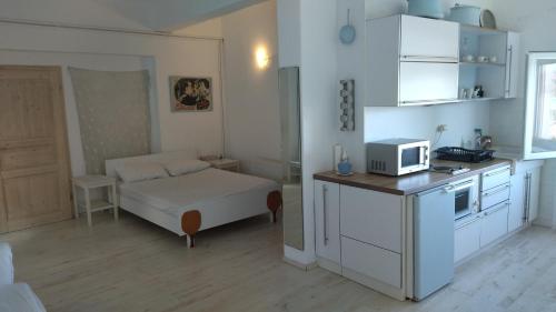 斯基亚索斯镇马托酒店的小房间设有床铺和微波炉