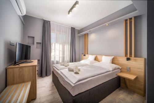 豪伊杜索博斯洛阿姆布罗子亚公园酒店的一间卧室配有一张大床和电视