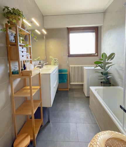 费内-伏尔泰Appartement Très Cosy à 5 min Aéroport Genève的浴室配有盥洗盆和浴缸。