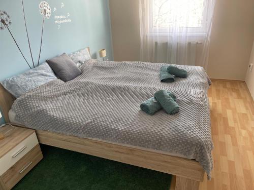 塞格德Noemi Appartman Szeged的卧室内的一张带两个枕头的床