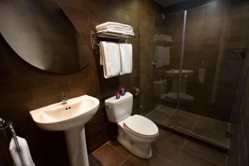 埃尔阿瓜Agua Dorada Beach Hotel By Lidotel的浴室配有卫生间、盥洗盆和淋浴。
