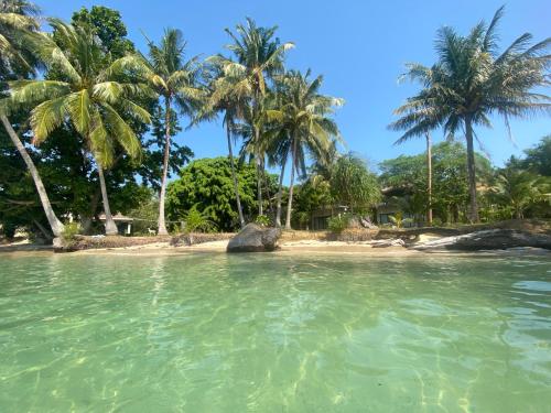 麦岛Koh Mak White Sand Beach的水中棕榈树海滩