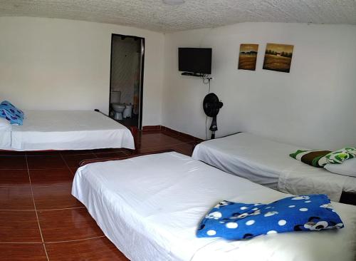 金巴亚FINCA HOTEL LA BONITA BY LA MACORINA的酒店客房设有三张床和电视。
