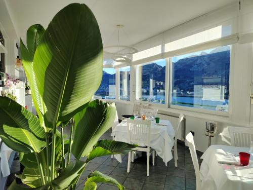 帕斯加特帕尔科贝乐威瑞酒店及餐厅的一间在房间内种植了大型绿色植物的餐厅