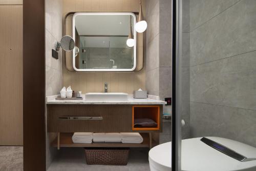 武汉武汉汉口火车站希尔顿惠庭酒店的一间带水槽、镜子和卫生间的浴室