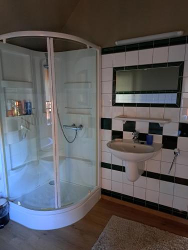 圣特雷登Begijnhof 54的带淋浴和盥洗盆的浴室