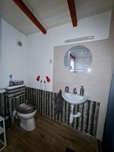 贝凯什圣安德拉什Tündérlak Nyaraló Békésszentandrás的一间带水槽、卫生间和镜子的浴室