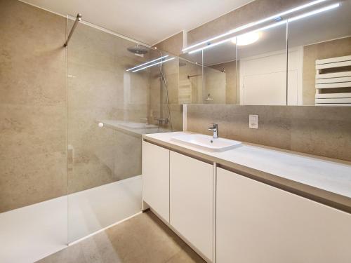 奥德纳尔德Hotel Restaurant Steenhuyse的白色的浴室设有水槽和淋浴。