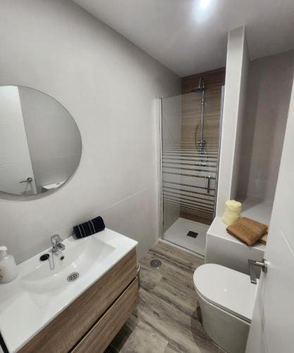 卡塔赫纳Green Apartamentos Cartagena的一间带水槽、卫生间和镜子的浴室
