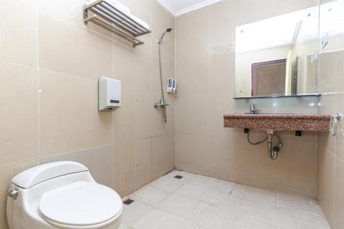 PaalmerahRedDoorz Premium at Hotel Ratu Residence的一间带卫生间、水槽和镜子的浴室