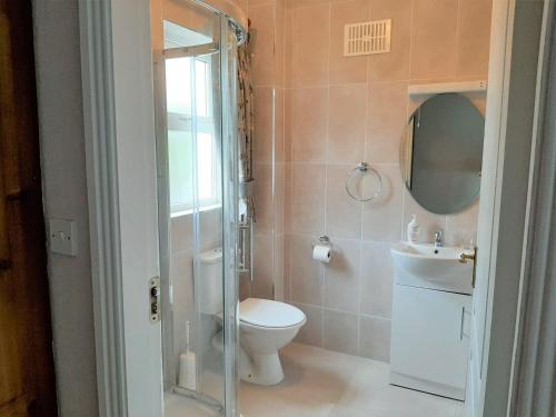 布莱辛顿Abhainn Ri Cottages的一间带卫生间、水槽和镜子的浴室