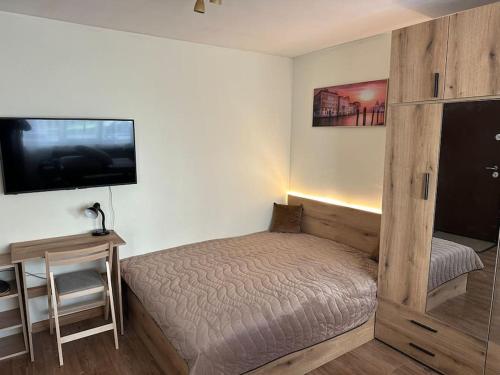 鲁塞Green Park Apartment - Brand New Studio!的一间带床和电视的小卧室