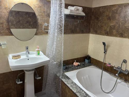 阿格拉Colonel's Abode的浴室配有盥洗盆和浴缸。