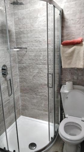 西班牙角Lahiff's Bay View Guest House的浴室设有卫生间和带玻璃门的淋浴。