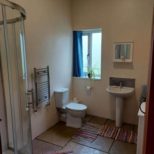 瓦伊河畔海伊Spacious self catering accommodation near HayOnWye的一间带卫生间和水槽的浴室