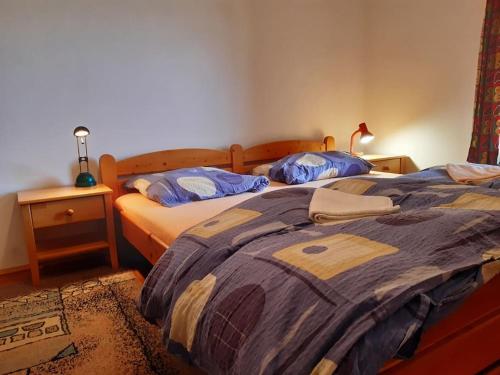 SmržovkaChalupa pod Bukovou horou, Jizerské hory的一间卧室配有两张床和一个带灯的床头柜