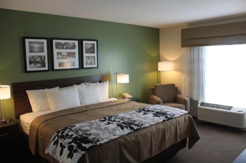 加登城加登城司丽普套房酒店的配有一张床和一把椅子的酒店客房