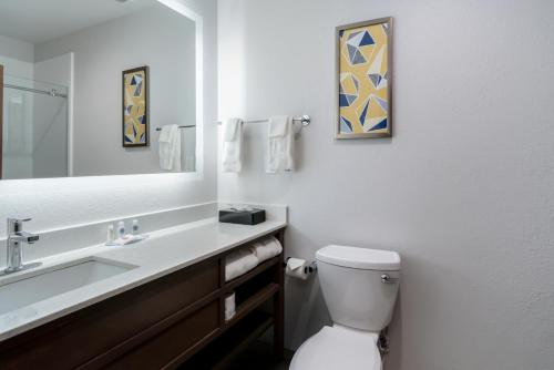 列克星敦Comfort Inn & Suites的一间带卫生间、水槽和镜子的浴室