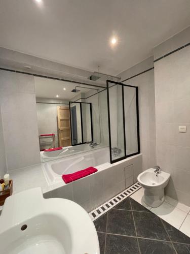 维伊勒佩Appartement au calme avec terrasse verdoyante entre Annecy et Genève的带浴缸、卫生间和盥洗盆的浴室