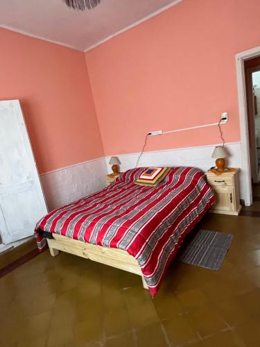 拉法尔达Alojamiento en La Falda - MSL的一间卧室配有一张床,床上有条纹毯子