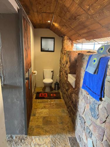 哈特比斯普特JUMANJI NATURE RESORT的一间带卫生间和石墙的浴室