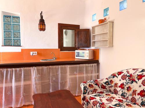 奇克拉纳－德拉弗龙特拉La Casita de Los Alambiques的带沙发和微波炉的客厅
