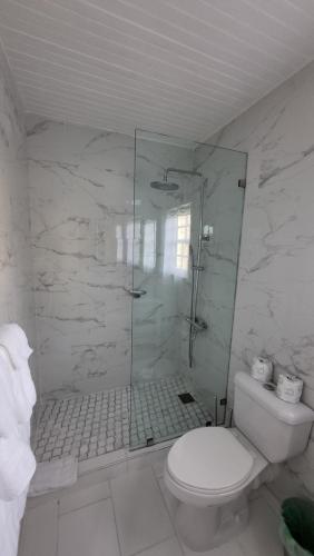 圣玛丽Sea Palms Beach Holiday的一间带卫生间和玻璃淋浴间的浴室