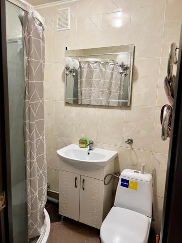 切尔尼戈夫Апартаменты в самом Центре прПобеды 90的一间带卫生间、水槽和镜子的浴室