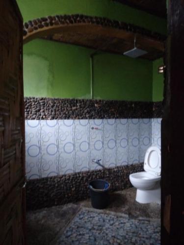 武吉拉旺Lucky Bamboo' Bungalows-Resto and OrangUtan Jungle Trekking Tours的一间带卫生间和绿色墙壁的浴室