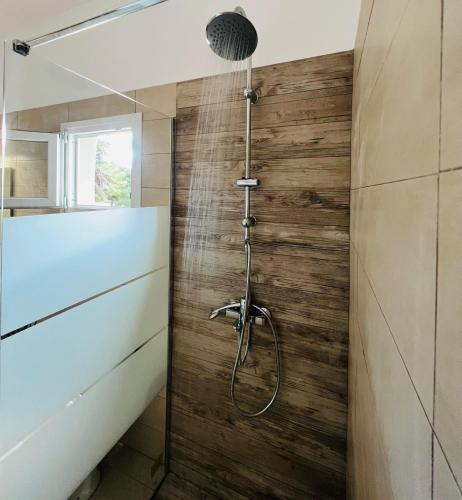 阿特米达Abuelo Apartment的带淋浴的浴室(带木墙)