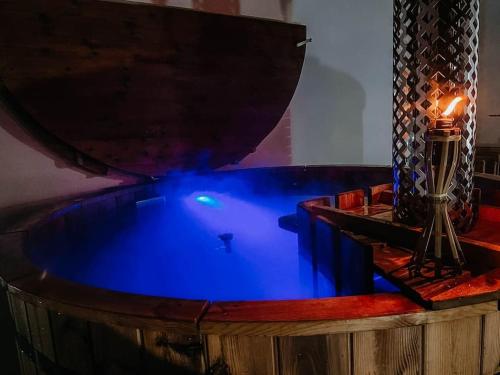阿威罗Bird’s Home的客房内的蓝色热水浴池