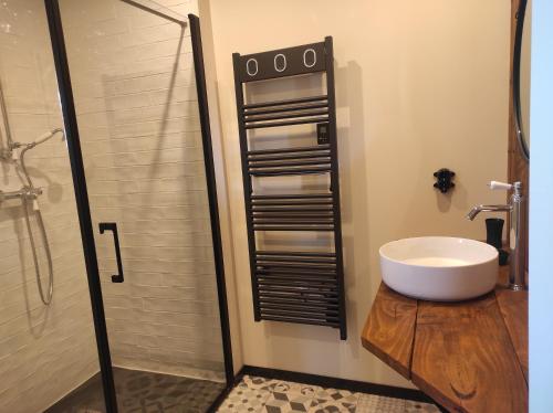 马洛塞讷Apparts'hôtel la ferme du gros noyer的一间带水槽和淋浴的浴室