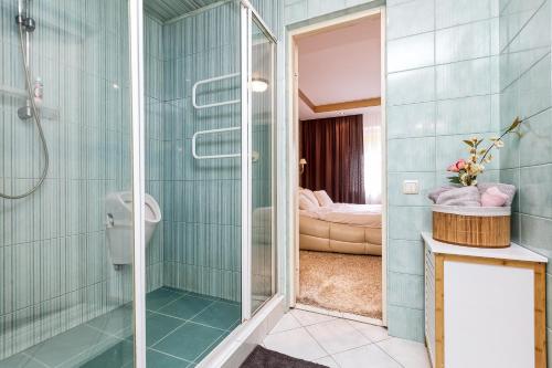 叶尔加瓦Jekaba Rezidence的带淋浴的浴室和卧室