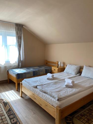 奥勒什蒂耶Pensiunea Roșu的一间卧室设有两张床和窗户。
