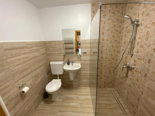奥勒什蒂耶Pensiunea Roșu的浴室配有卫生间、盥洗盆和淋浴。
