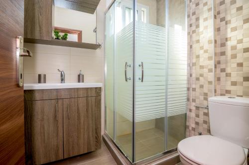 亚历山德鲁波利斯Spartacus Apartment的带淋浴、卫生间和盥洗盆的浴室