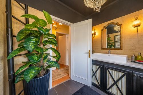 卡斯卡伊斯Lawrence House - Deluxe - Cascais的一间带植物和水槽的浴室