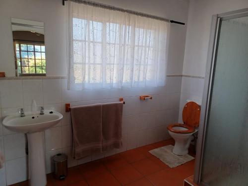 拉塞利亚林奎达农场旅馆的一间带水槽和卫生间的浴室以及窗户。