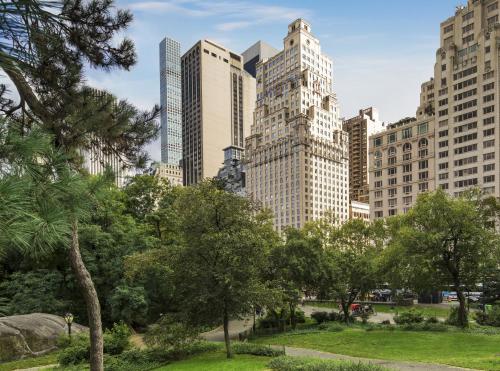 纽约纽约中央公园丽思卡尔顿酒店的城市中一座公园,有高大的建筑