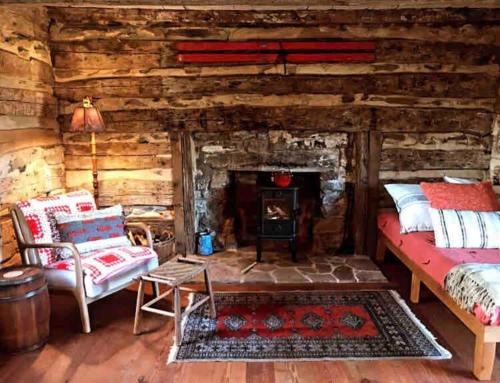 Historic 1850's Cosmic Cabin的小木屋设有1张床和1个壁炉