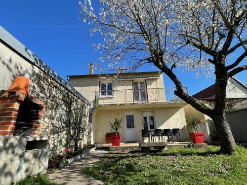 谢尔河畔努瓦耶Le Faubourg des Trois Provinces, Zoo de Beauval的前面有一棵树的白色房子