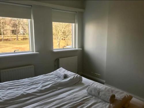 劳加尔瓦特恩Laugarvatn Apartment的卧室内的一张床位,设有两个窗户