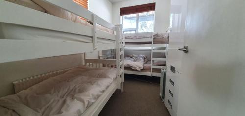 布勒山Beehive 18的客房设有两张双层床和一扇窗户。