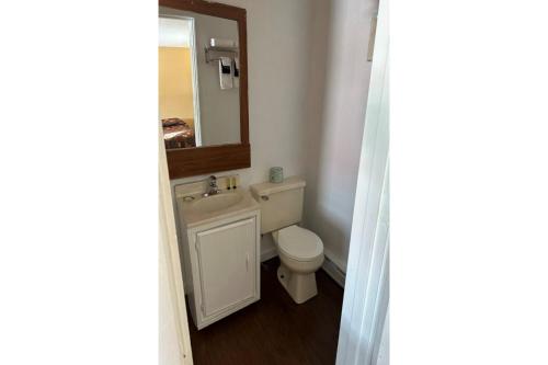 艾恩伍德Love Hotels Timberline at Lake Superior MI的一间带卫生间、水槽和镜子的浴室