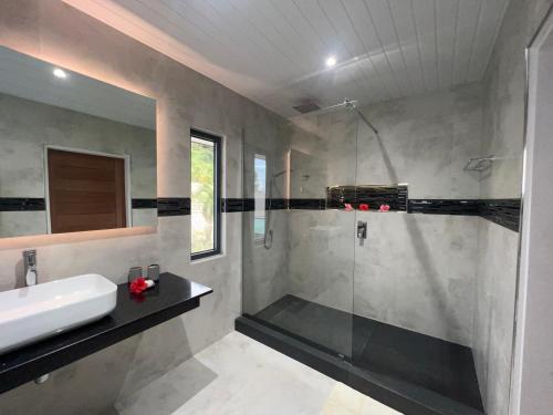 贝圣安那乐港宾馆的带淋浴和盥洗盆的浴室